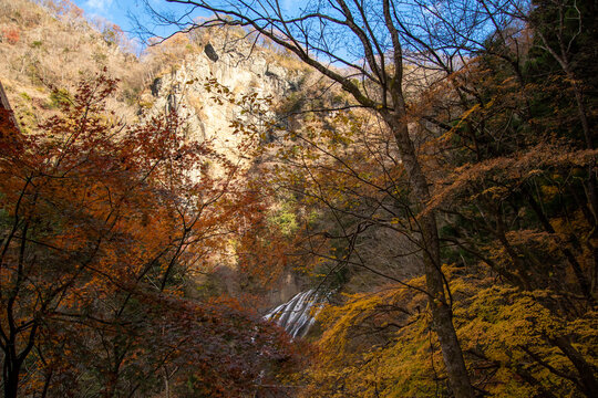 紅葉と袋田の滝
