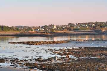 Ambiance au coucher du soleil sur Port-Blanc Penvenan en Bretagne. France