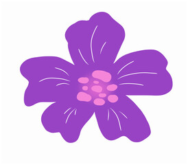 A purple and pink flower illustration
