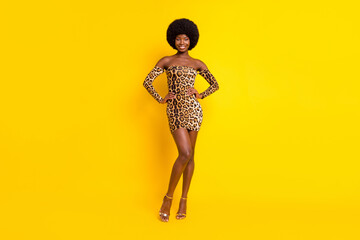 Fototapeta na wymiar Full length body size photo smiling girl leopard dress high-heels isolated vibrant yellow color background
