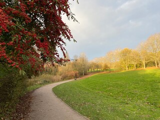 autumn in the park