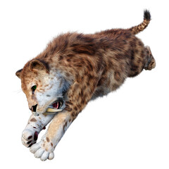 3D Rendering Sabertooth Tiger on White