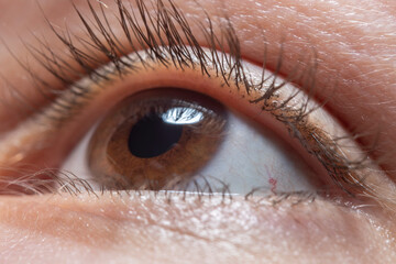 Fototapeta premium Close-up of a female eye in soft focus. Pupil at high magnification. Remains of mascara on the eyelashes.