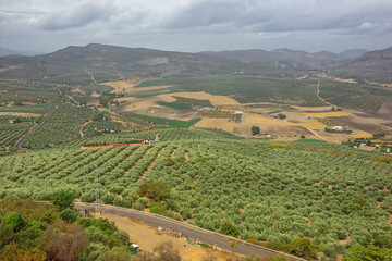 Olive groves around Alcala la Real, seen from the La Mota fortress above the city