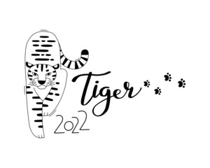 The Tiger is the Zodiac Symbol of the 2022 New Year. Vector illustration - 472420539