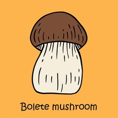 doodle freehand sketch drawing of bolete mushroom.