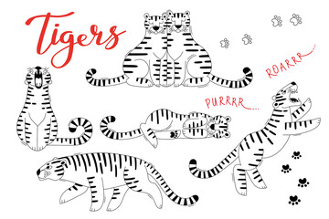 Tigers Clipart Set. Tiger Zodiac Symbols New Year 2022. Vector illustration