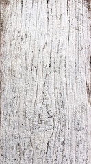 Fototapeta premium Old grey and White wooden background with cracks and scratches in vintage style