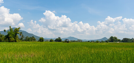 The most beautiful of the blue sky, rural scenery, lifestyle