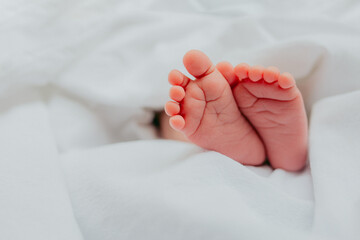Baby's feet under a white blanket