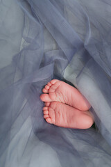 Baby's feet under a gray blanket