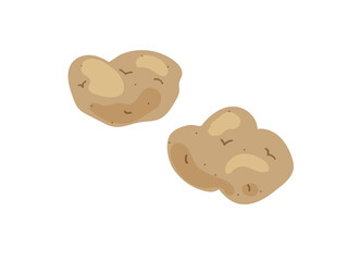 野菜_じゃがいも