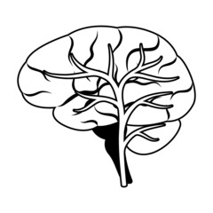 Illustration of brain internal organ. Human body anatomy. Health care and medical icon.