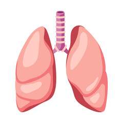Illustration of lungs internal organ. Human body anatomy. Health care and medical icon.