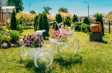 Fototapeta na wymiar Decorative Retro Vintage Model Bicycle Equipped Basket Flowers Garden In Sunny Summer Day. Summer Flower Bed With Petunias. Landscaping, Garden Decor