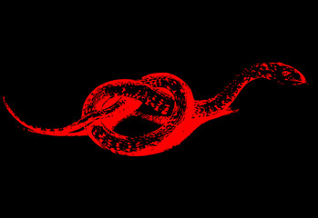 illustrations of a red snake on a black background