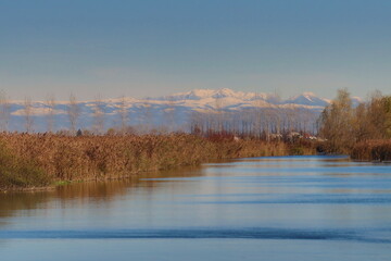 snow-covered mountain with reeds on the river