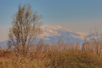 snow-covered mountain with reeds on the river