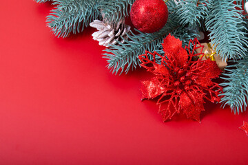 Christmas still life with poinsettia and pine branches on red background with copy space. Blank greeting card