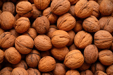 a lot of walnuts in the shell seamless background