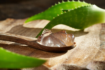 Aloe vera gel on a spoon, with fresh aloe vera plant in the background