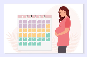 Naklejka na ściany i meble Pretty pregnant woman with calendar of the weeks of pregnancy on flat background, healthy pregnancy concept, flat vector illustration