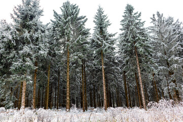 Wunderschöne Winterlandschaft auf den Höhen des Thüringer Waldes bei Oberhof - Thüringen