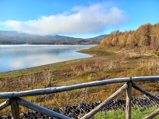 Fototapeta premium Paesaggio autunnale del lago di Bilancino, visto da un sentiero da dietro lo steccato in legno. Colori predominanti marrone e giallo delle foglie e degli alberi in autunno