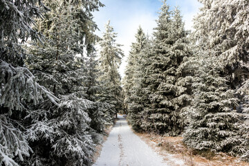 Obraz premium Wunderschöne Winterlandschaft auf den Höhen des Thüringer Waldes bei Oberhof - Thüringen