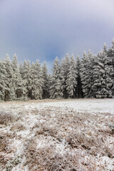 Wunderschöne Winterlandschaft auf den Höhen des Thüringer Waldes bei Oberhof - Thüringen