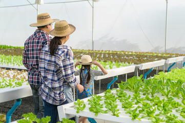 Happy farmer family working in hydroponic greenhouse farm, clean food and healthy eating concept