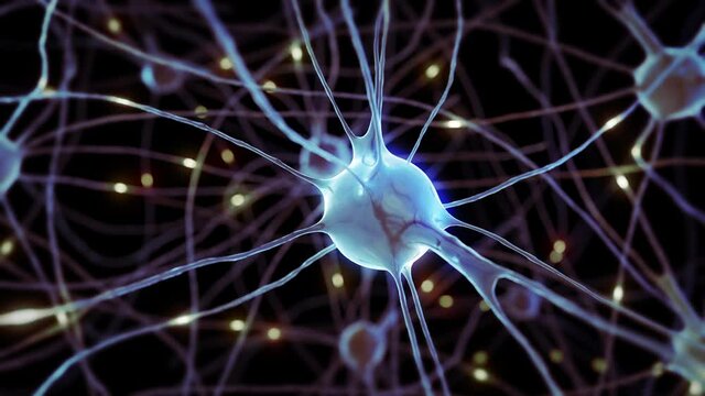 Nervous system and synapse impulses of brain neurons and axons with microscope. Research of the nerve cells, activity inside the human brain, structure of memory cells in the science laboratory.