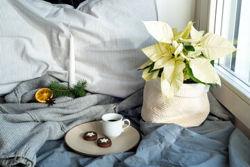Cozy winter breakfast still life scene near the window. Cup of coffee with cookies. Pillow, wool sweater,candle,fir tree branch, and white poinsettia.Christmas concept.Top view