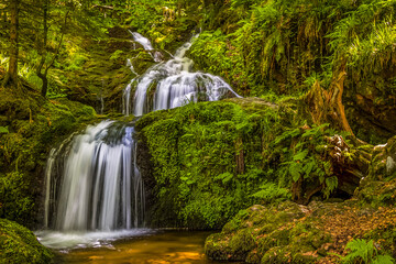 Cascade dans les Vosges France