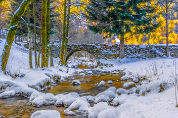 Pont sur un cour d'eau en hivers dans les Vosges France