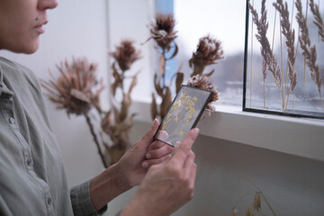 Herbarium of dried different plants and flowers. Natural decorative elements for home decoration.