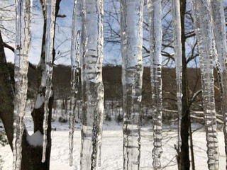 Obraz premium icicles