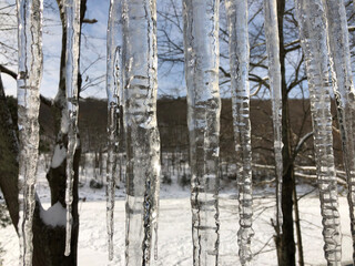 Fototapeta premium icicles