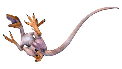3D Rendering Dinosaur Deinonychus on White