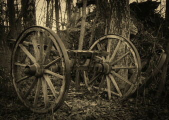 Fototapeta na wymiar A detail of an old horse cart on an abandoned farm.
