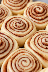 Obraz na płótnie Canvas Cinnamon rolls homemade raw dough preparation. Cinnabons traditional dessert buns.