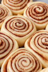 Fototapeta premium Cinnamon rolls homemade raw dough preparation. Cinnabons traditional dessert buns.