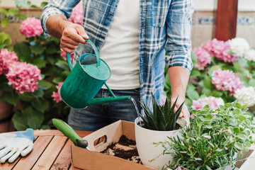 Man watering plant at table in backyard