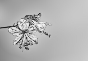 Trauer um einen geliebten Menschen