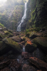 The Leaf, The Mist & The Waterfall