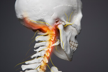 Neck pain, head nervous system human anatomy, bones and neck nerves - obrazy, fototapety, plakaty