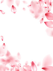 Fototapeta na wymiar Pink sakura flower flying petals isolated on white vector background.