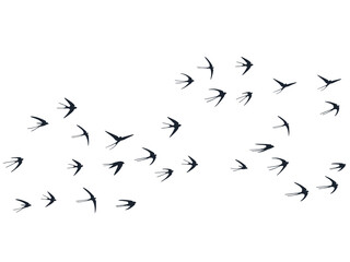 Flying martlet birds silhouettes vector illustration. Migratory martlets bevy isolated on white.