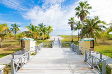 Fototapeta premium beautiful view of the beach and ocean.