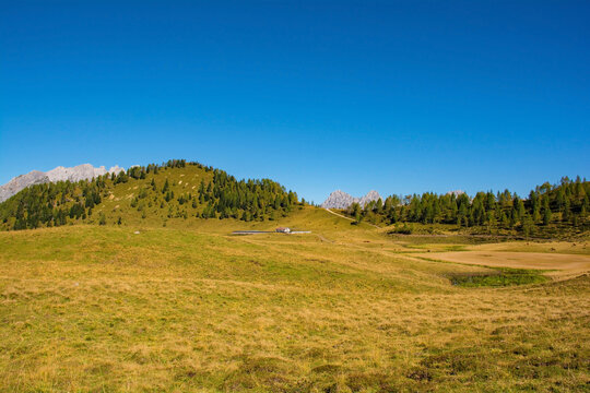The Laghi di Festons alpine meadow on Sella Festons near Sauris di Sopra, Udine Province, Friuli-Venezia Giulia, north east Italy. Used as a summer pasture for dairy cows. The peak of Monte Morgenleit